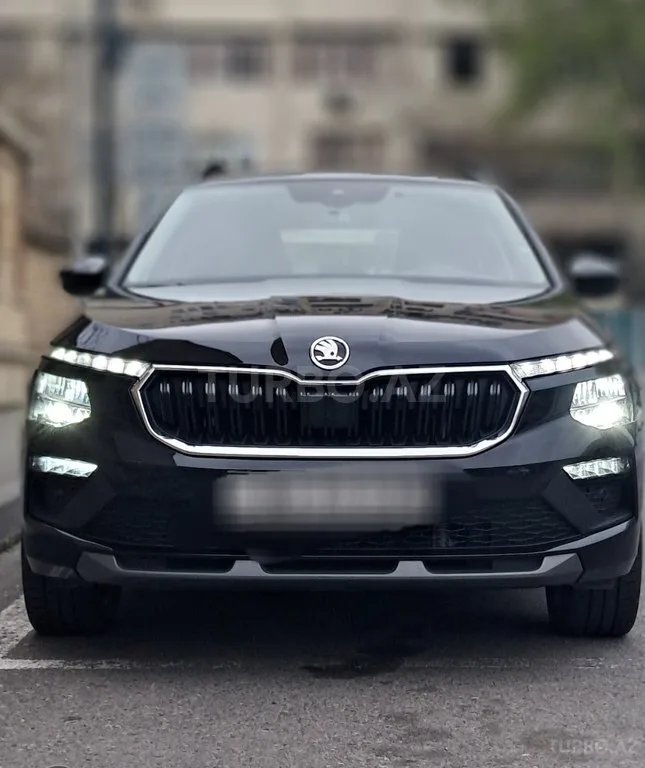 Skoda Kamiq — фото 1/4