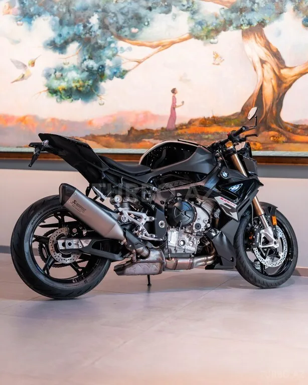 BMW S 1000 R — фото 1/4