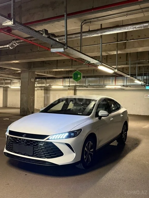 BYD Qin Plus — фото 3/4