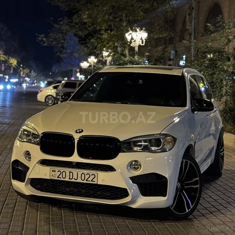 BMW X5 — фото 1/4