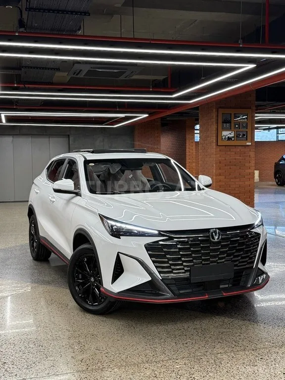 Changan Oshan X5 Plus — фото 2/4