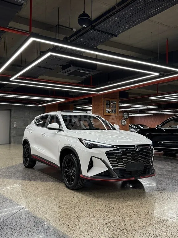 Changan Oshan X5 Plus — фото 4/4
