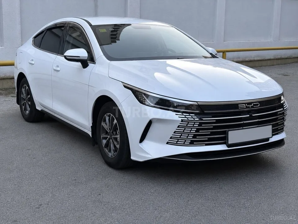 BYD Destroyer 05 — фото 3/4