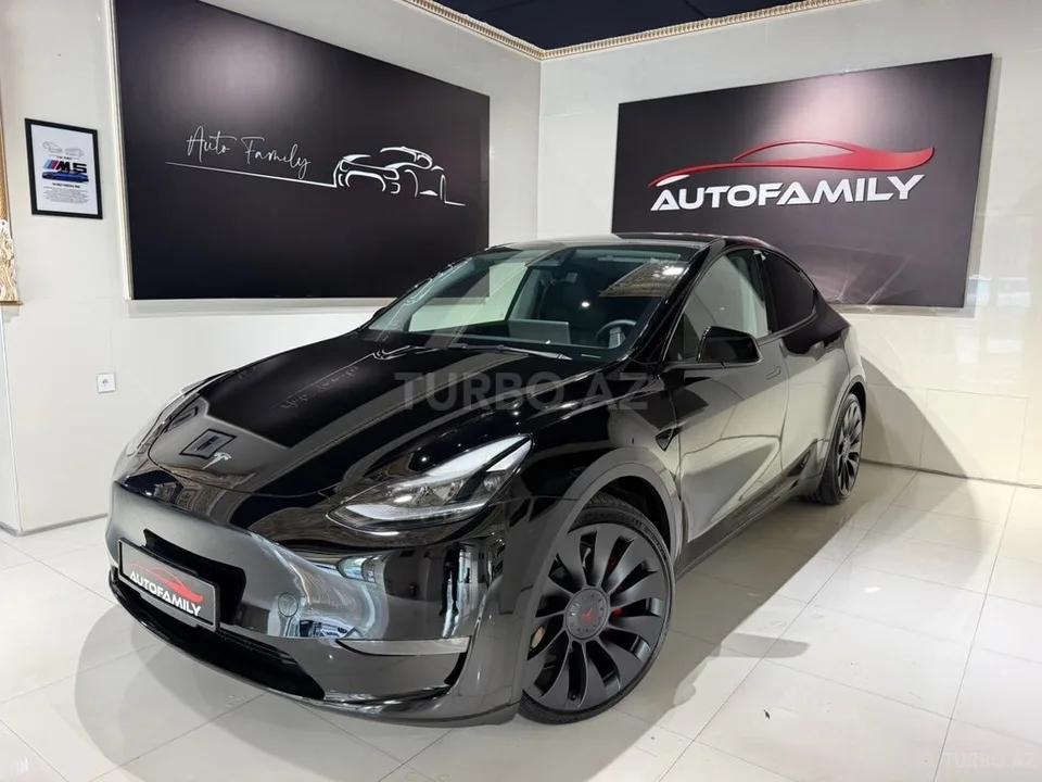 Tesla Model Y — фото 1/4
