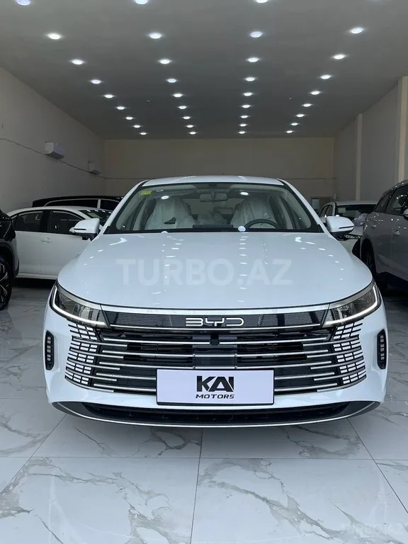 BYD Destroyer 05 — фото 1/4