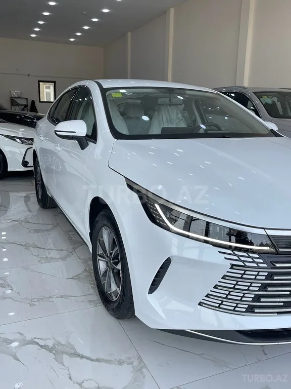 BYD Destroyer 05 — фото 4/4