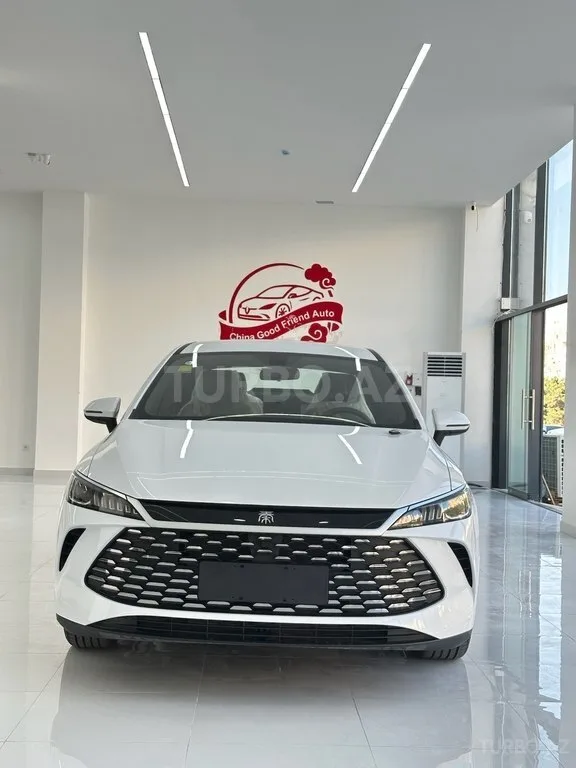 BYD Qin Plus — фото 1/4