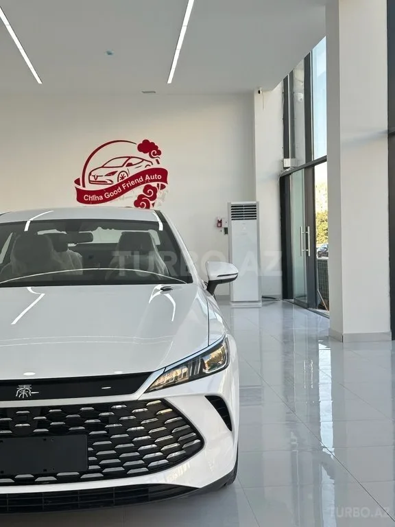 BYD Qin Plus — фото 3/4